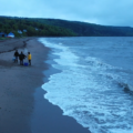 Pêche aux capelans : une tradition qui fait du bien